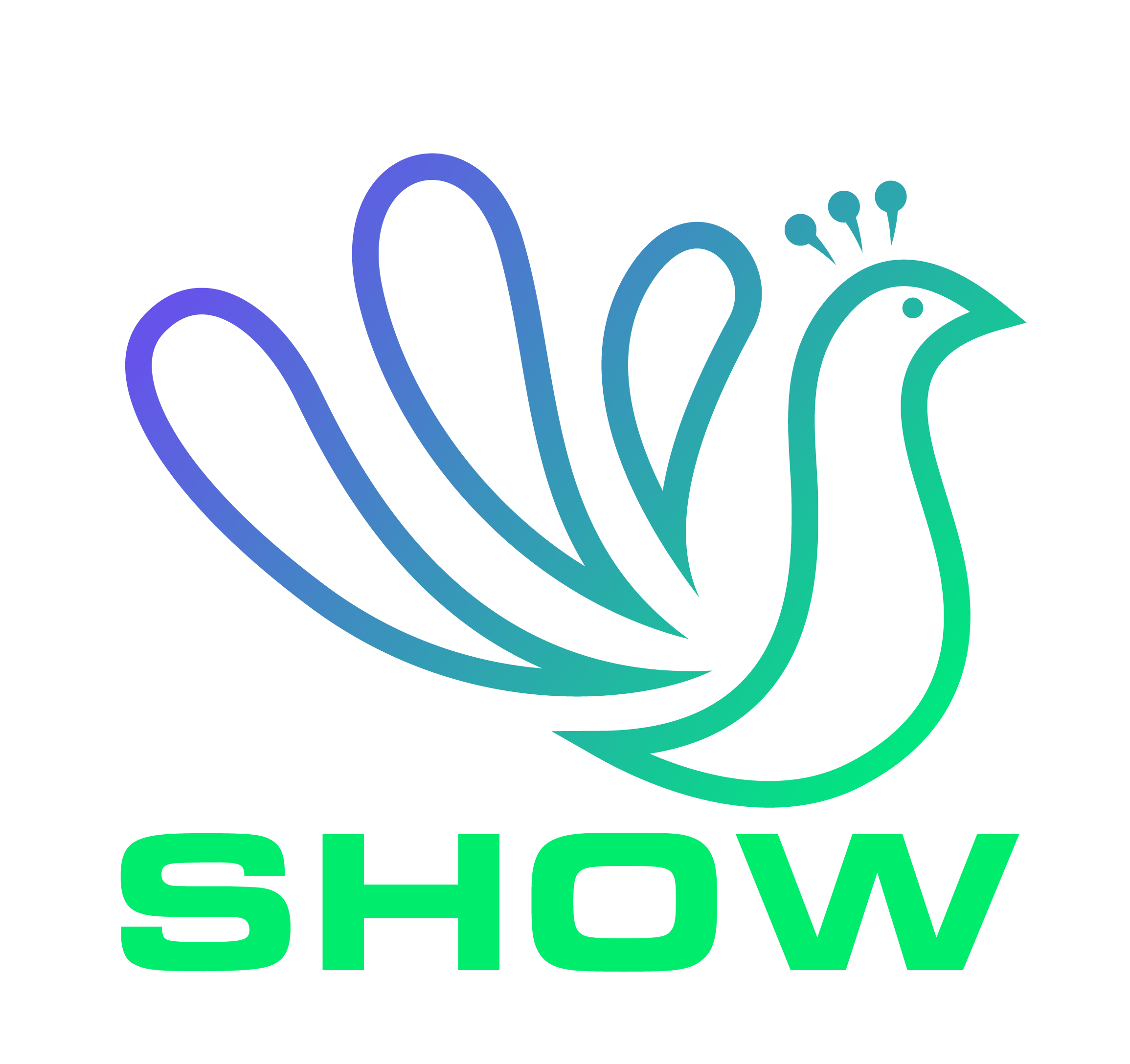 SHOW — digital brand management